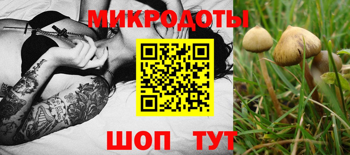 Псилоцибиновые грибы ЛСД Кубинка