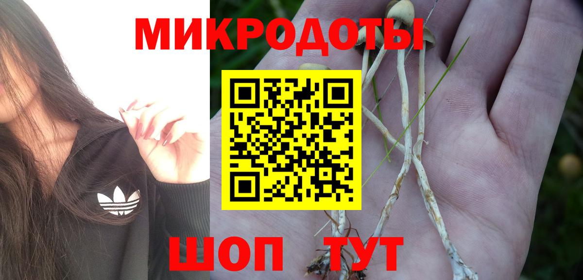 Кубинка  Галлюциногенные грибы прущие грибы  Вход с VPN 